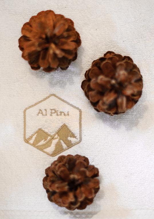 Alpini Apartamenty Zakopane Værelse billede